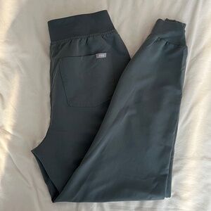 Zamora Jogger Scrub Pants in Bonsai
